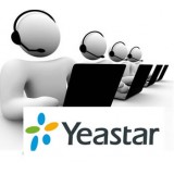 Yeastar licenza statistiche code call center S50 QueueMetrics